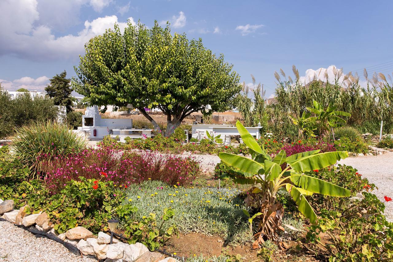 Villa San Dimitrio House On The Beach ロガラス エクステリア 写真